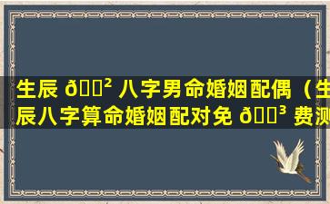 生辰 🌲 八字男命婚姻配偶（生辰八字算命婚姻配对免 🌳 费测试）